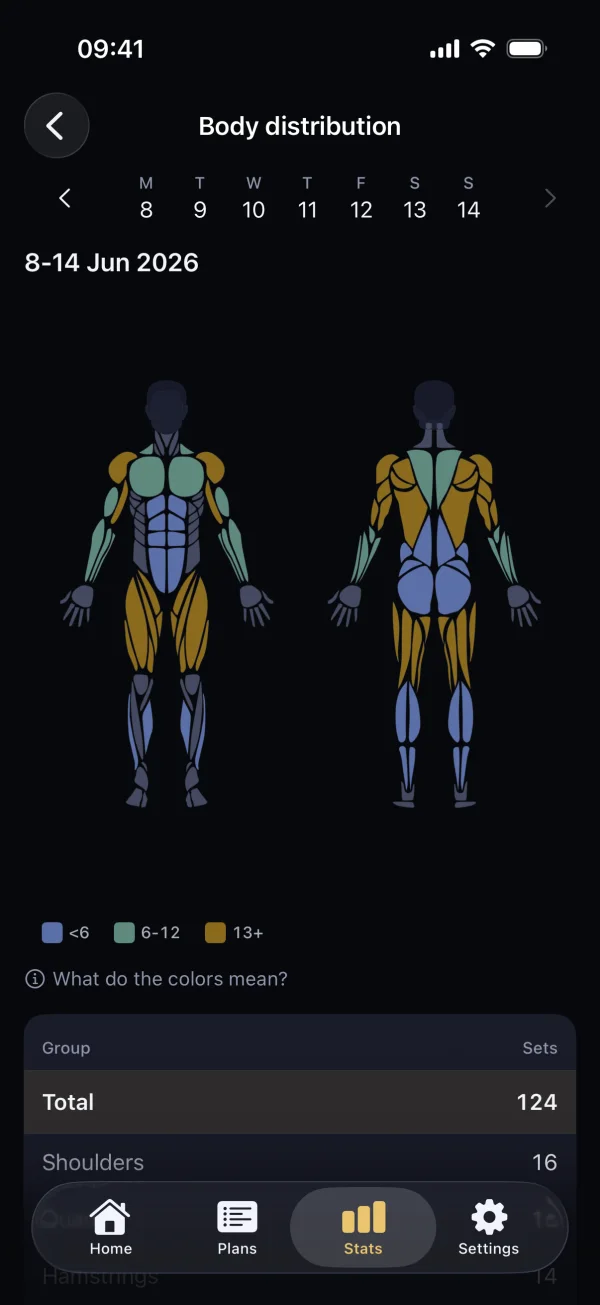 Weekly training distribution on a body map - muscle map in Pully