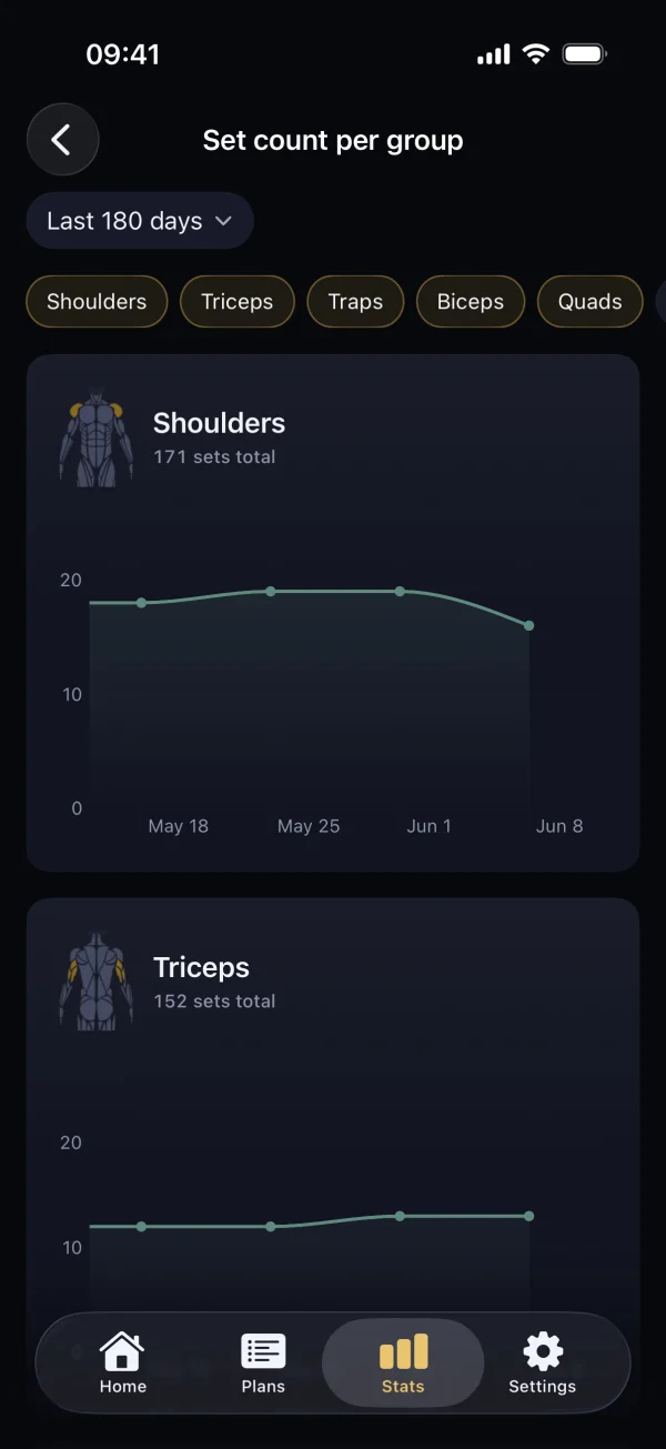 Set count per muscle group